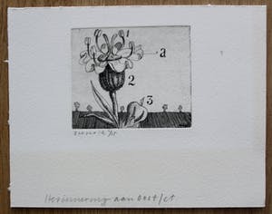 Herman Berserik - ets: Bloem - oplage slechts 15 stuks kopen? Bied vanaf 60!
