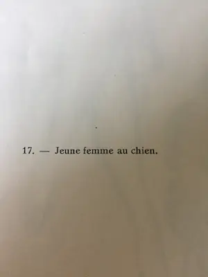 Kees van Dongen - Pochoir - Jeune femme au chien - 1925 kopen? Bied vanaf 1250!