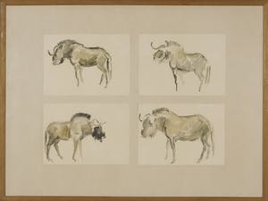 Rudolf Ernst Penning - Aquarel, Uit de dierentuin - Ingelijst kopen? Bied vanaf 35!