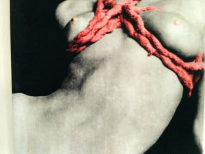 Niet of onleesbaar gesigneerd - Erotique exotique kopen? Bied vanaf 1!