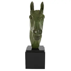 Irénée Rochard - Paard kopen? Bied vanaf 850!