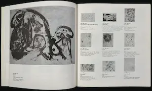 Pierre Alechinsky - Oeuvrecatalogus met litho omslag en losse ets, 20 Jahre Impressionen kopen? Bied vanaf 200!