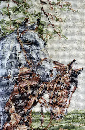 Rob Scholte - Paarden kopen? Bied vanaf 100!