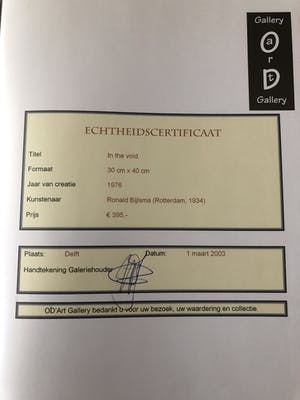 Ronald Bijlsma - In the void kopen? Bied vanaf 350!