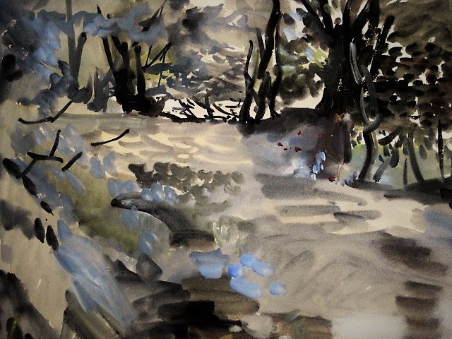 Hein Stork - Fascinerend impressionistisch Aquarel "Duin en bos landschap Noord-Holland" verkocht voor € 570!