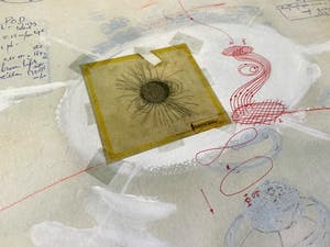 Panamarenko - studie Bing kopen? Bied vanaf 1350!