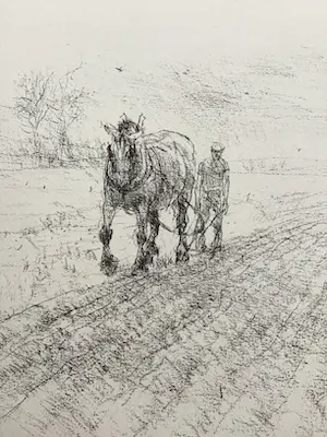 Piet Klaasse - Paarden, proefdrukken offsetlitho, 2-zijdig bedrukt, gesigneerd in druk kopen? Bied vanaf 20!