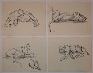 Wim Motz - 4 tekeningen van leeuwen/leeuwinnen kopen? Bied vanaf 50!