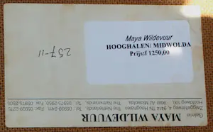 Maya Wildevuur - Ingelijste acrylverf op doek: Vis - 1993 kopen? Bied vanaf 275!