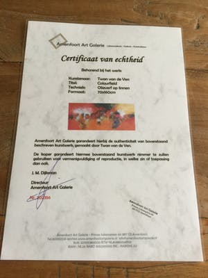 Twan van de Ven - Colorfield kopen? Bied vanaf 300!