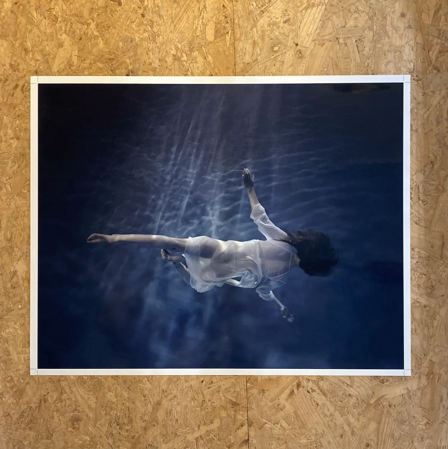 Danielle Kwaaitaal (1964)