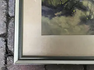 Gerard Cox (jr.) - Duinzicht. kopen? Bied vanaf 30!