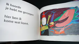 Wouter Stips - 2 boeken (2005 & 2008) kopen? Bied vanaf 45!