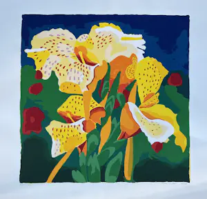 Henk van der Plas - Mooie , kleurrijke gesigneerde zeefdruk - 2001 - 40/50 kopen? Bied vanaf 65!