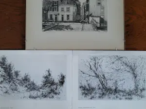 Willem Minderman - Maliestraat Den Haag. (plus extra boekje) kopen? Bied vanaf 59!