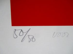 Josum Walstra - Grote zeefdruk kopen? Bied vanaf 35!