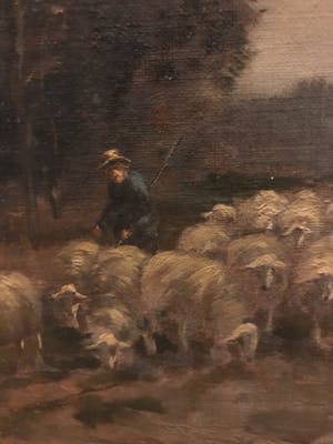 Arend van de Pol - Schaapherder kopen? Bied vanaf 500!