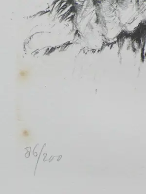 Jan Mensinga - Man met vier vogels - Litho kopen? Bied vanaf 1!