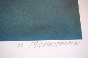 Taco Meeuwsen - Kleurenzeefdruk - Deep Down Under kopen? Bied vanaf 45!