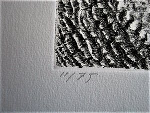 Han van Hagen - Ambachtelijk Graficus - Kleine oplage Ets - Zwartbles schaap - potloodgesigneerd kopen? Bied vanaf 30!