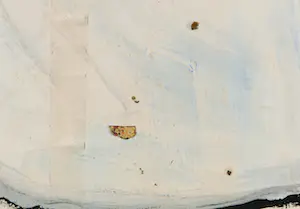 Tanja Smit - Olieverf op doek, Figuur tegen witte achtergrond (Zeer groot) kopen? Bied vanaf 1!