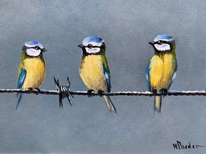 Henk Poeder - Pimpelmeesjes kopen? Bied vanaf 89!