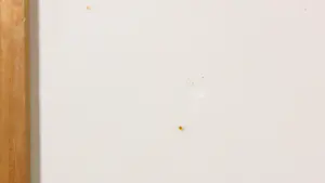 Ellen van Toor - Gemengde techniek, De drie gratiën - Ingelijst kopen? Bied vanaf 50!