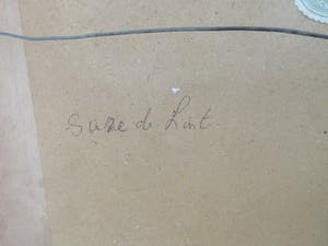 Suze de Lint - Aquarel Brabants Boerderijtje kopen? Bied vanaf 1!