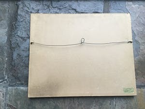 Niet of onleesbaar gesigneerd - Veenplas kopen? Bied vanaf 1!