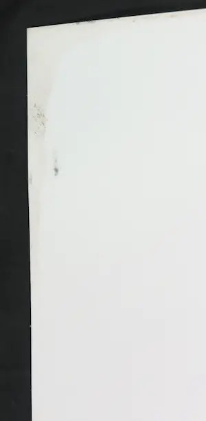 Corneille - Litho, Le chat qui danse kopen? Bied vanaf 1!