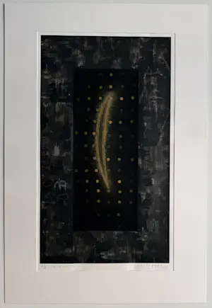 Bert Vredegoor - handgesigneerde kleurenlitho | 'Zie de maan' | 1991 kopen? Bied vanaf 35!