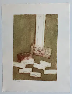 Jan Montyn - kleurenets | 'Drijvende landen' | 1988 kopen? Bied vanaf 1!