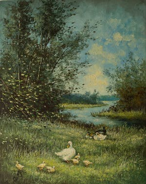 Toon Wildeboer - eenden in landschap kopen? Bied vanaf 20!