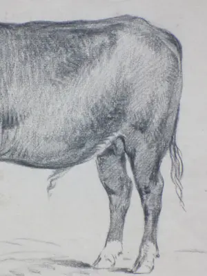 Frans Lebret - Stier - tekening kopen? Bied vanaf 45!