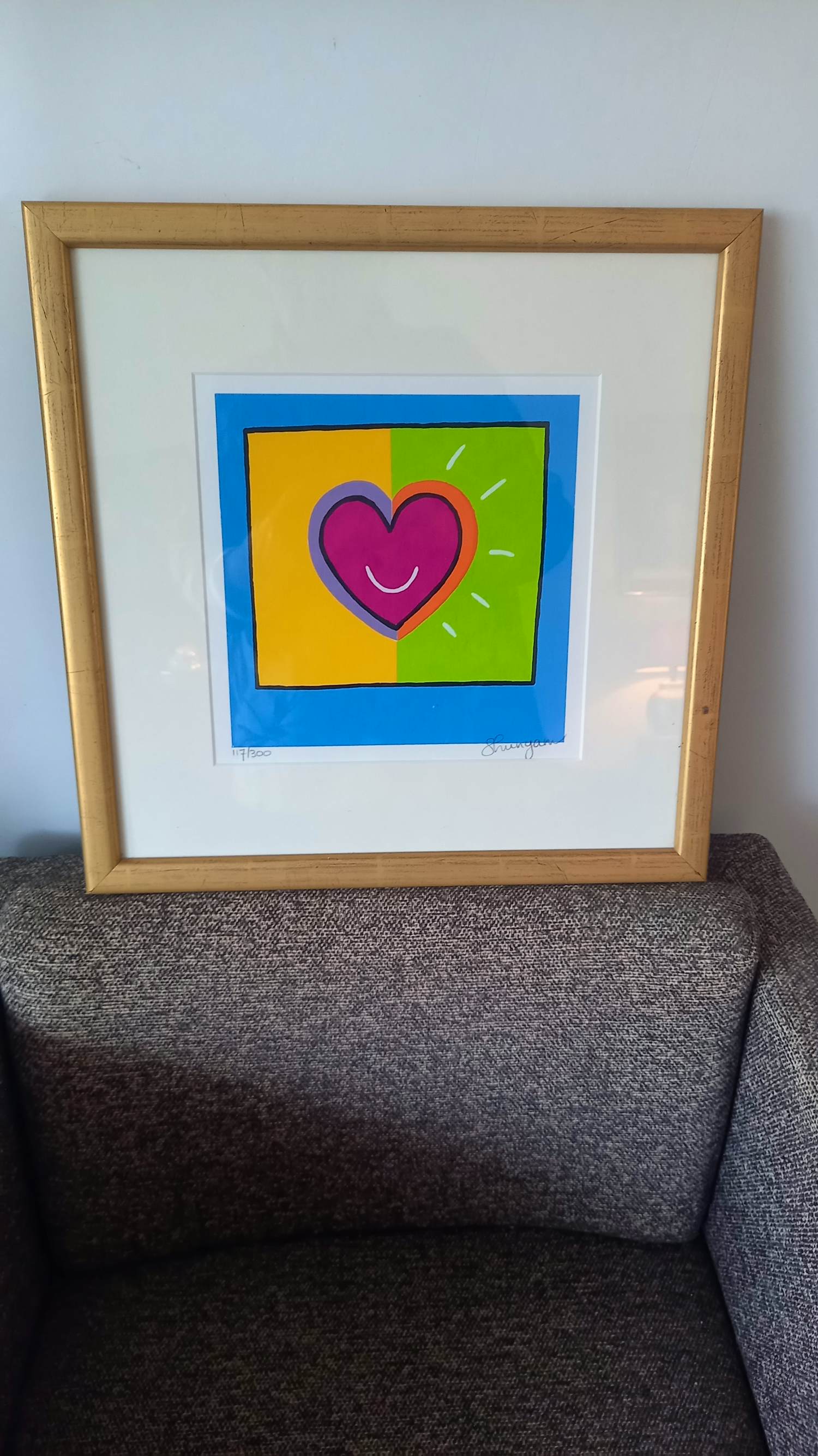 Shunyam - Kleurig hart. kopen? Bied vanaf 35!