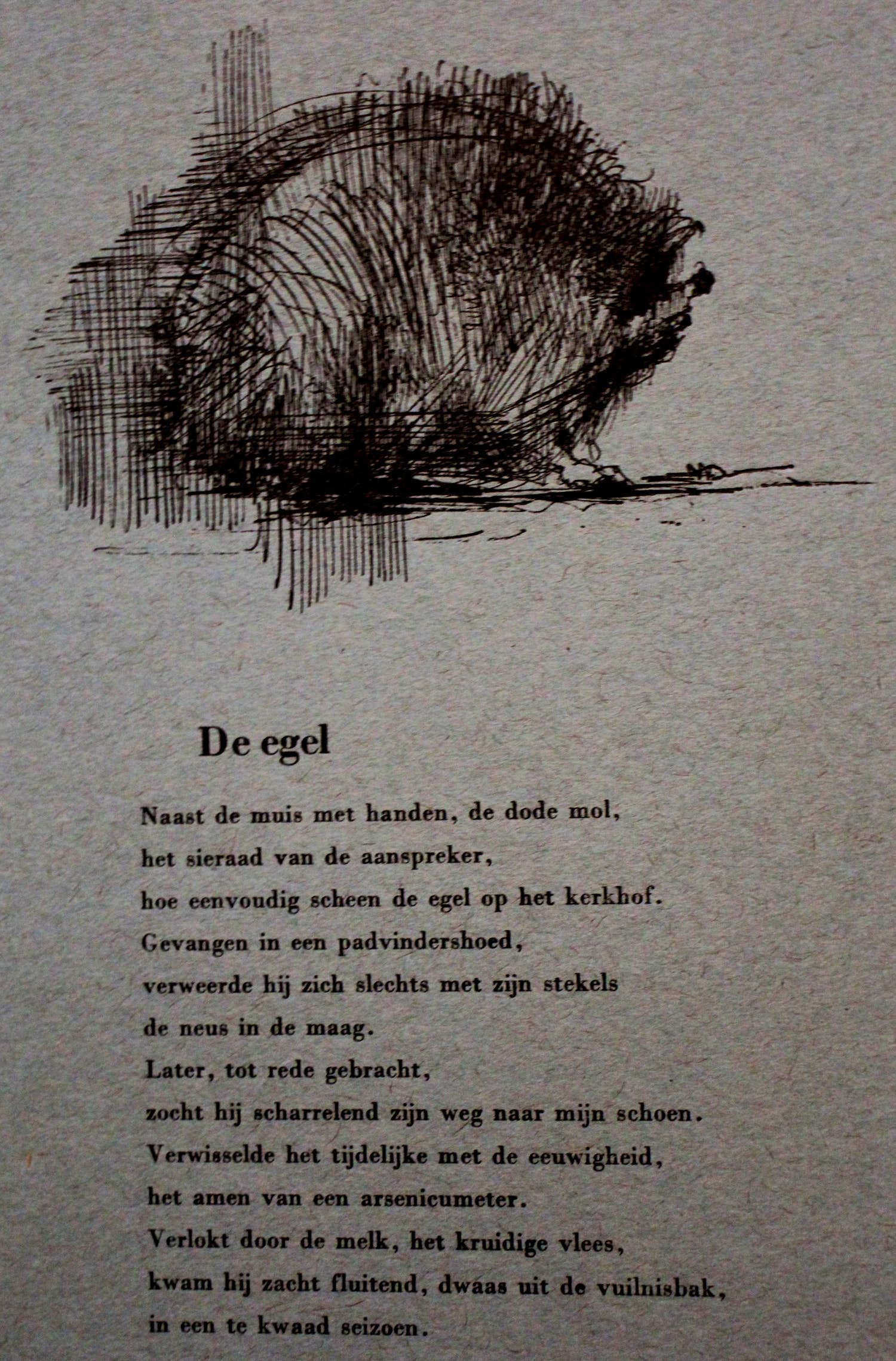 Dirkje Kuik - Clichedruk: Egeltje kopen? Bied vanaf 50!