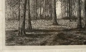 Alfred Elsen - boslandschap kopen? Bied vanaf 20!