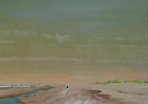 Franklin Meijer - Texel - Strand vuurtoren de Cocksdorp kopen? Bied vanaf 49!