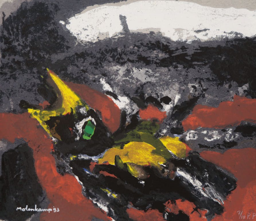 Nico Molenkamp - Nico Molenkamp: Zeefdruk, Z.T. vogel verkocht voor € 35!