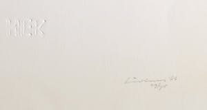 Livinus van de Bundt - Blinddruk, Kick (...) kopen? Bied vanaf 1!