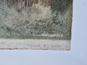 Adrianus Johannes Grootens - Fraaie jaren 30 kleuren zeefdruk "Knotwilg" - potloodgesigneerd kopen? Bied vanaf 42!