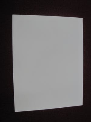 Vincent Rijnbende - GROTE Zeefdruk - Zeer kleine oplage (15 ex) "Klapwiekende Appelboom" kopen? Bied vanaf 28!