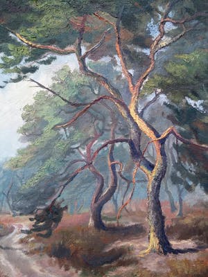 Niet of onleesbaar gesigneerd - olieverf - Bosgezicht/bospad - ingelijst - 20760 kopen? Bied vanaf 1!