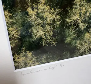 Karel J.A. Tomei - Boomkruinen in Herfst 1/30 kopen? Bied vanaf 75!
