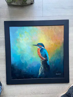 AcheterHenk Poeder - IJsvogel? Enchérissez de 189!