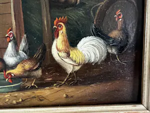 Hermanus van Tankeren - Kippen in de stal kopen? Bied vanaf 65!