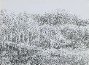 Bernard Koelman - Pentekening, Land - Ingelijst kopen? Bied vanaf 1!