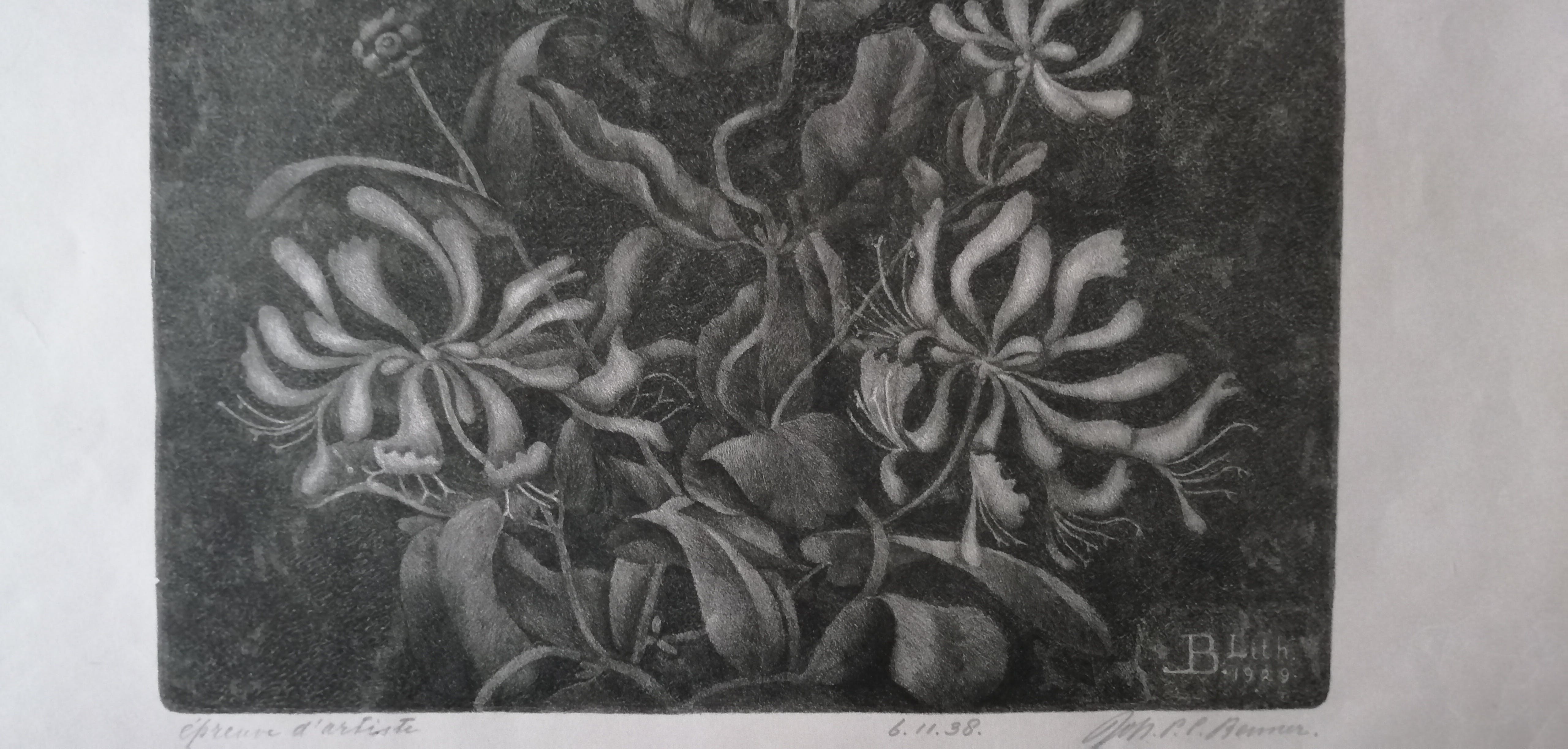 Johan Philip Christiaan Benner - Orchideeën in de nacht kopen? Bied vanaf 25!