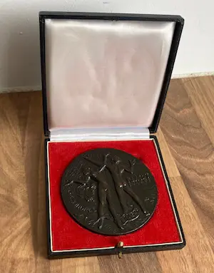 Maarten Pauw - Bronzen Prijspenning Koninklijke vereniging van leraren en onderwijzers in de li kopen? Bied vanaf 50!