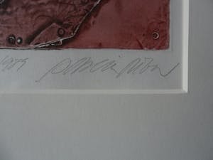Enric Adsera Riba - Zeefdruk. Titel, "Colte Obest". kopen? Bied vanaf 15!